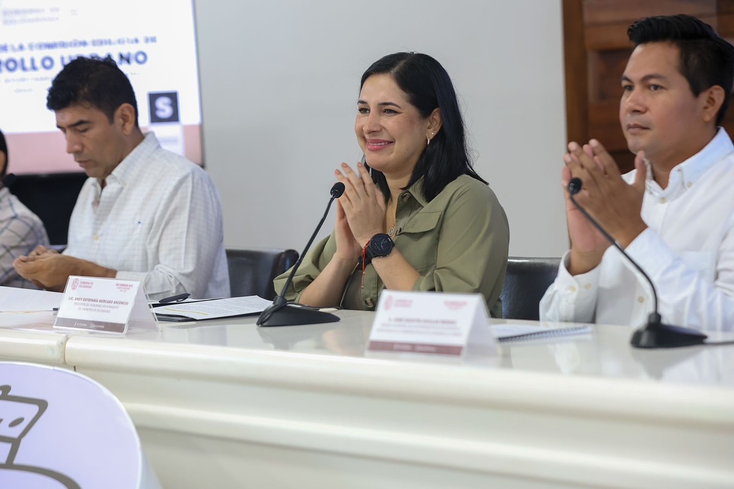DESARROLLO ORDENADO EN SOLIDARIDAD: ESTEFANÍA MERCADO