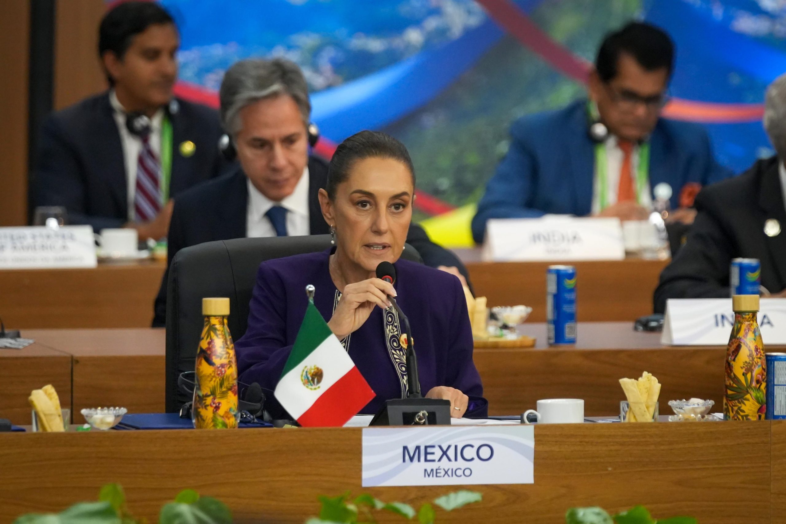 PLANTEA SHEINBAUM EN LA CUMBRE DEL G20 CREAR FONDO PARA FINANCIAR REFORESTACIÓN MUNDIAL
