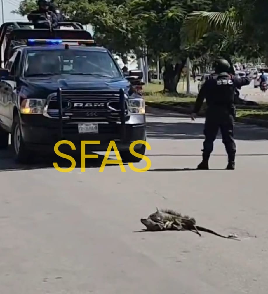 OTRO ESCÁNDALO «SEXUAL» EN EL CARIBE: POLICÍA LOS AGARRA ECHANDO PATAS EN PLENA CALLE Y A LA LUZ DEL DÍA