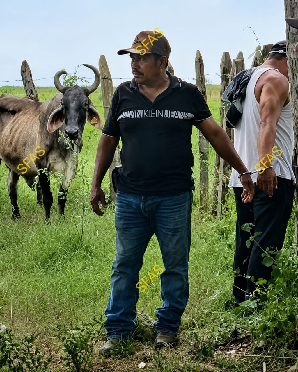 *TAMULTECOS ATRAPAN A CABECILLAS DE BANDA DE ABIGEATO Y LOS AMARRAN AL PALO EN EL EDÉN*